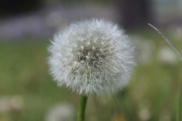 Photography thumbnail